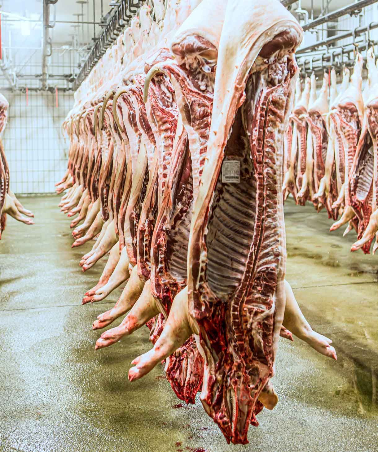 Innenaufnahme vom Kühlraum vom Naturverbund